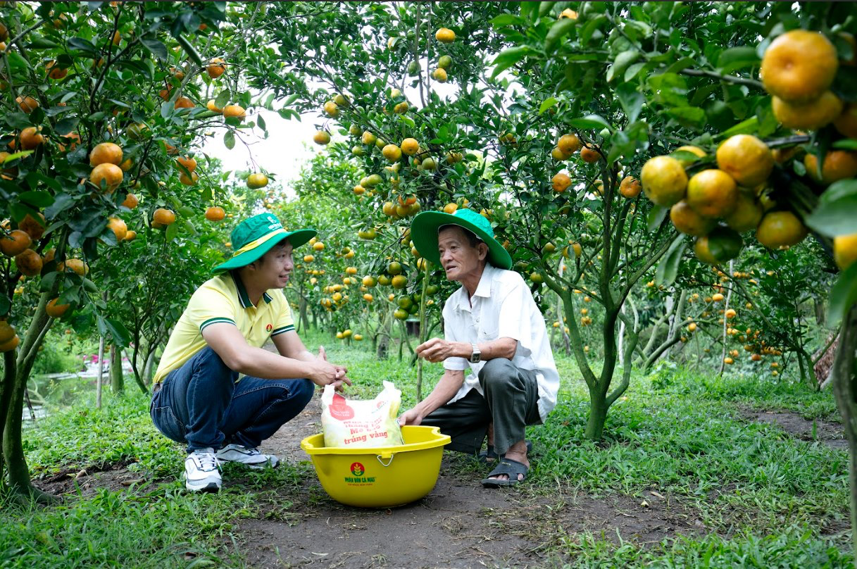 Nhà nông mong muốn chính sách góp phần giúp giá phân bón hạ nhiệt
